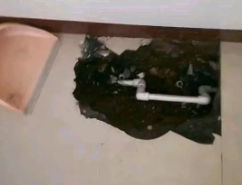 德化卫生间测漏水多少钱